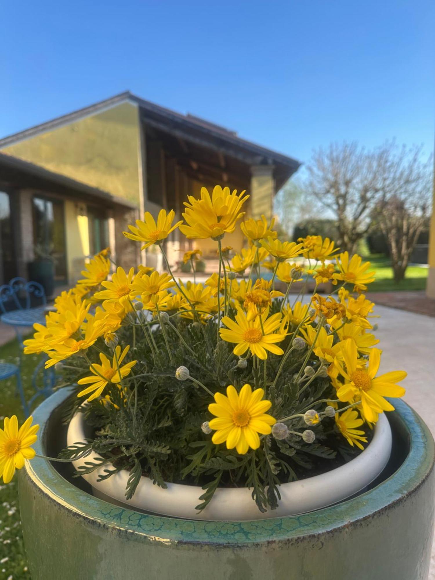 Agriturismo Corte Capiluppia Curtatone Dış mekan fotoğraf